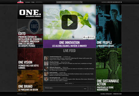 ONE PROJECT (DIGITAL MAG) _ PERNOD GROUP